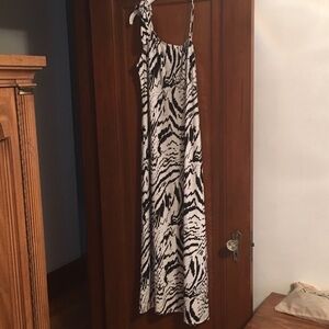 Blush Zebra Striped Maxi Dress, Large